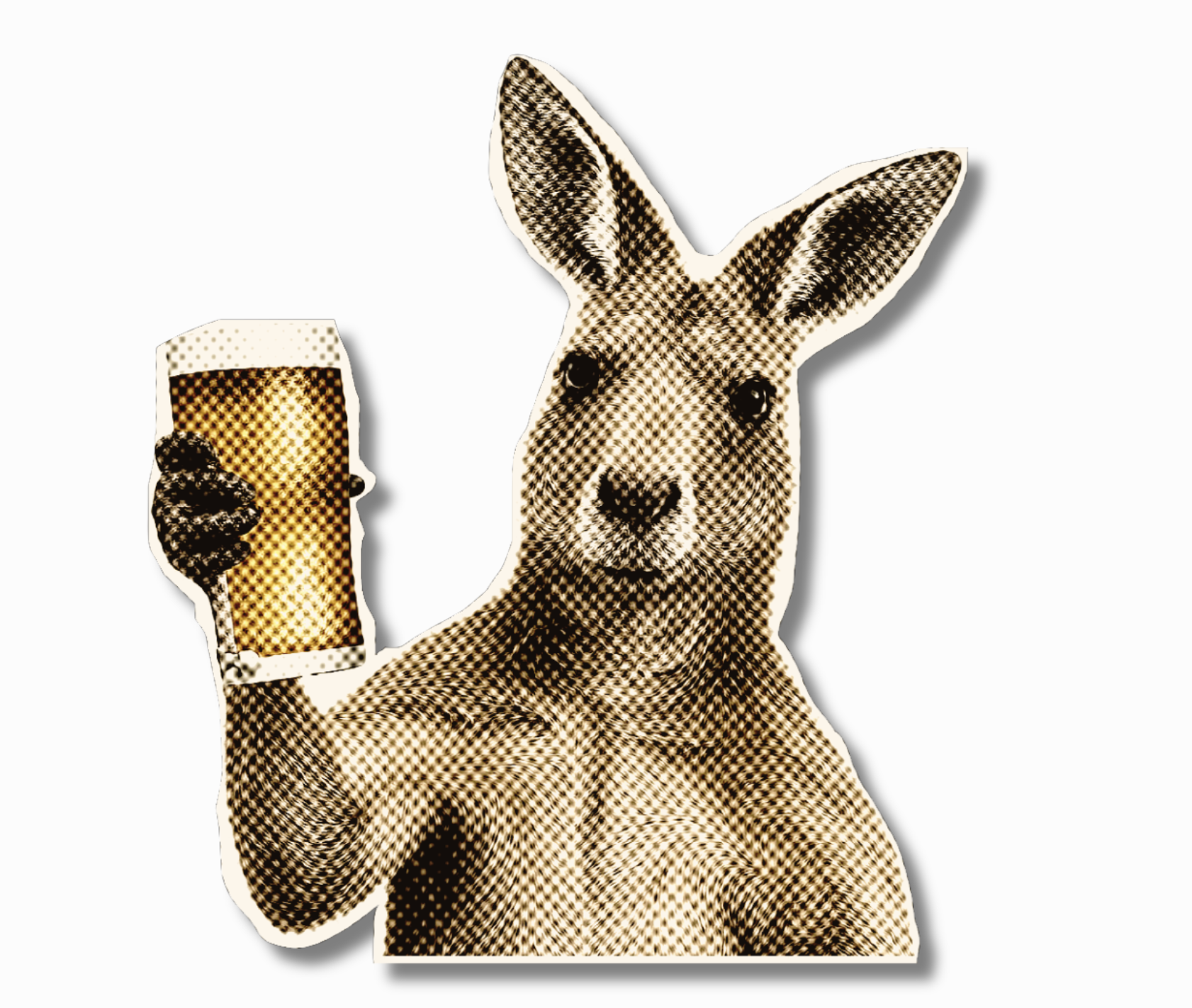 Kangaroo with beer